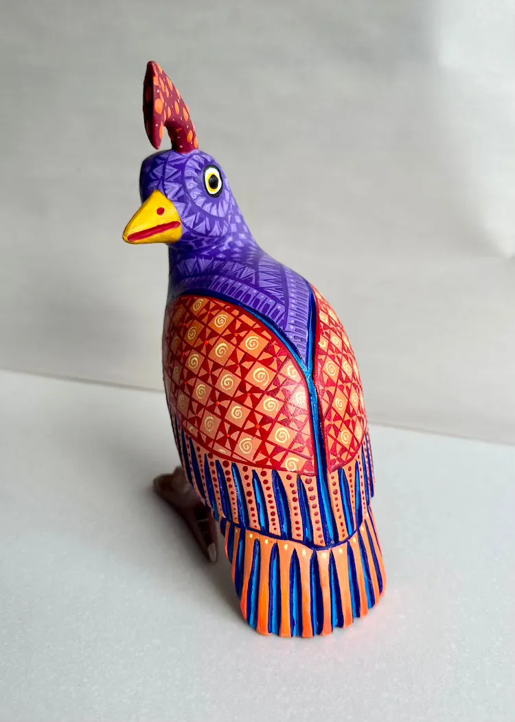 Armando Jimenez | Purple Orange Quail