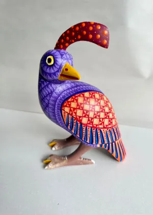 Armando Jimenez | Purple Orange Quail