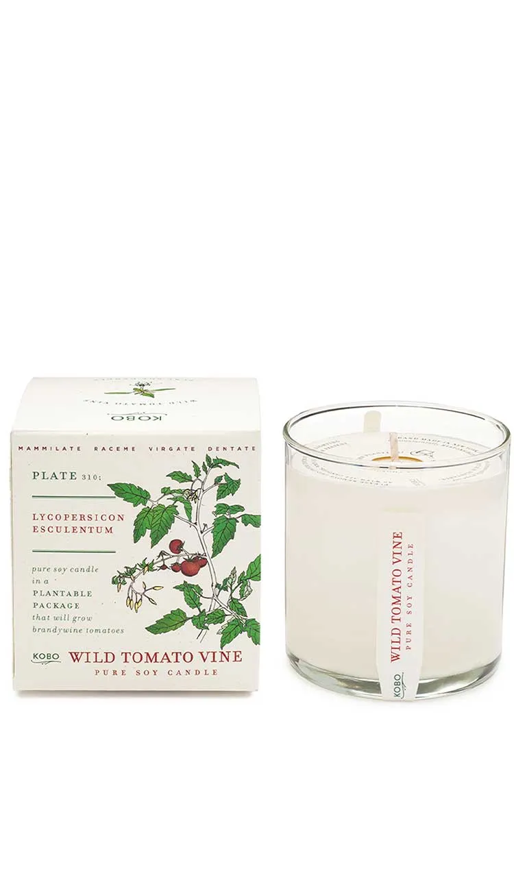 Plant the Box Candle - Wild Tomato Vine