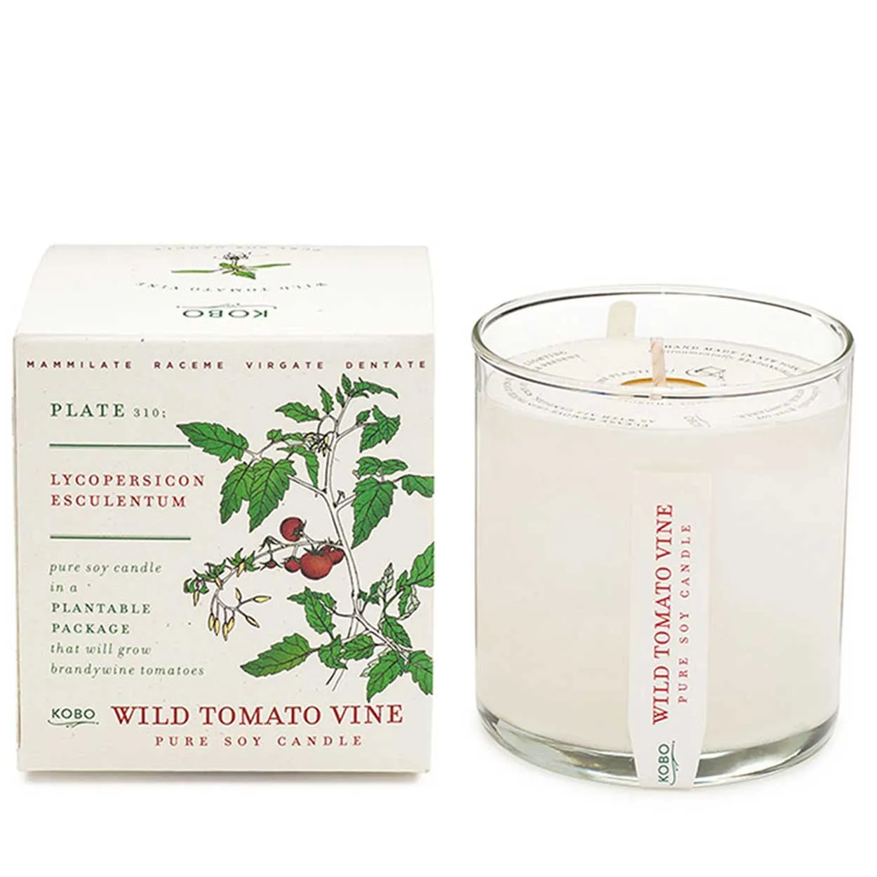 Plant the Box Candle - Wild Tomato Vine